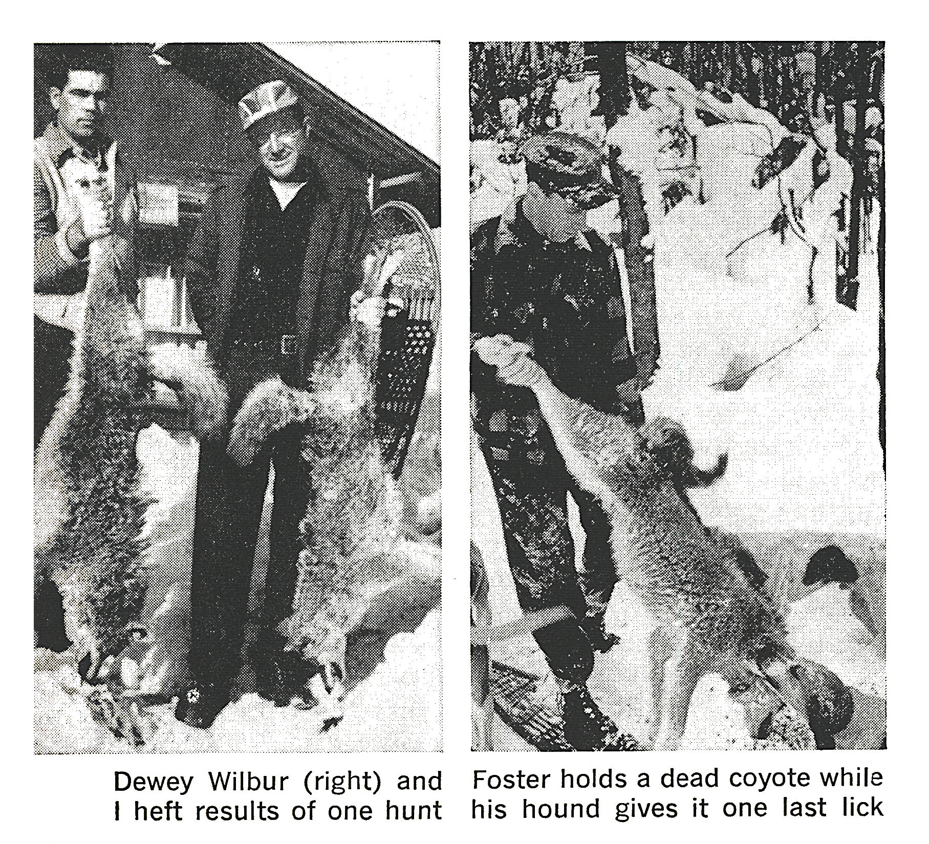Two old black and white photos of coyote hunters with coyotes.