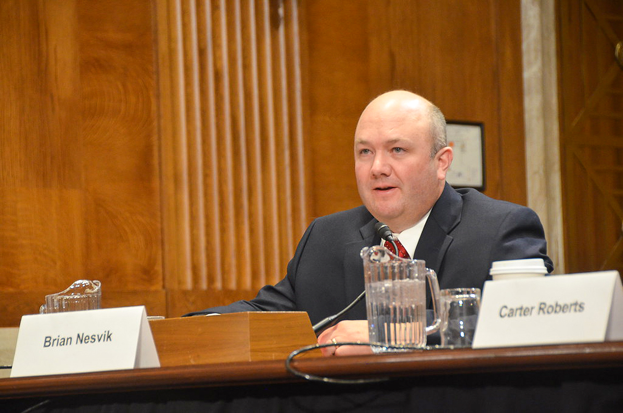 Brian Nesvik testifying