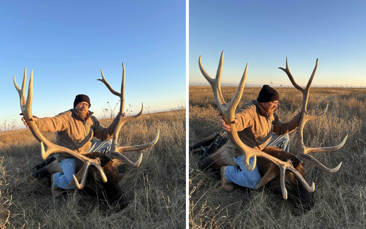 After Finally Listening to My Buddy, My Bull Is a New Oklahoma State Record