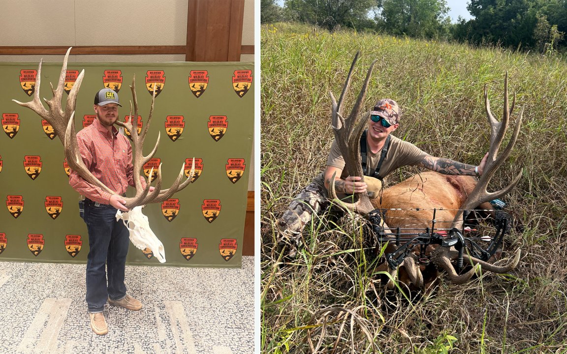 A bowhunter with the new Oklahoma record nontypical elk.