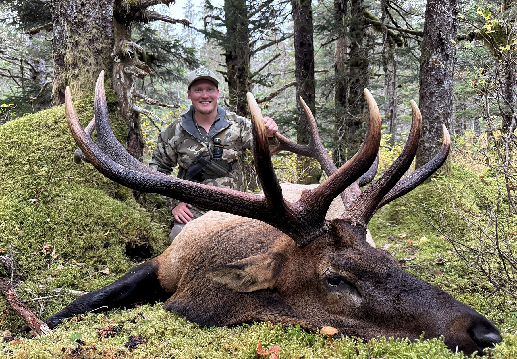 A huge bull elk taken in Alaska.
