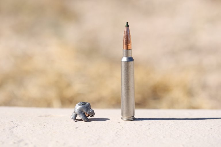 A cartridge and a mushroom bullet the Remington 7 Backcountry