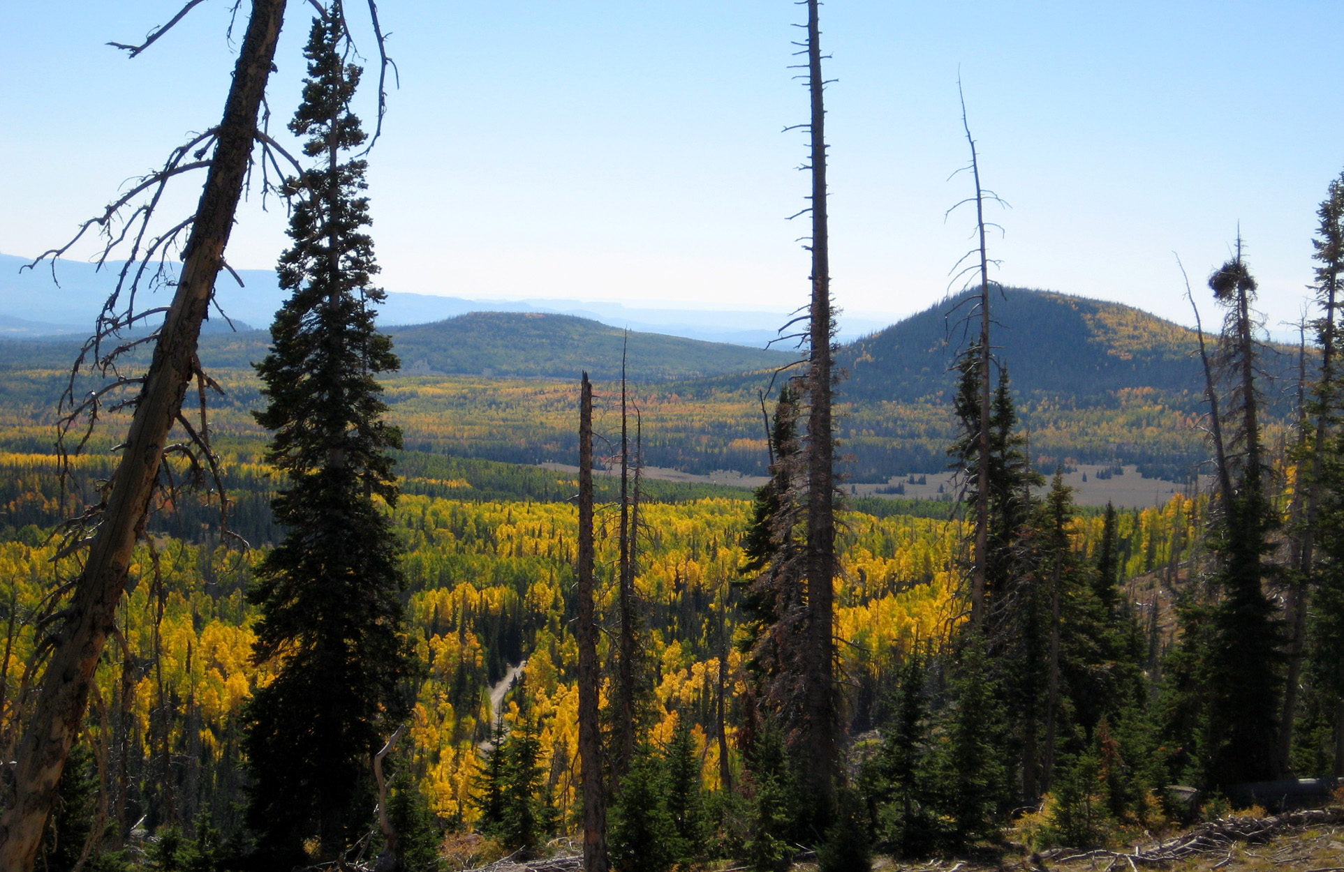 Utah Will Co-Manage 8 Million Acres of National Forest. Insiders Say It ...