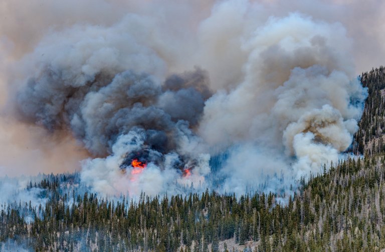 A wildfire burning on national forest land in Utah.