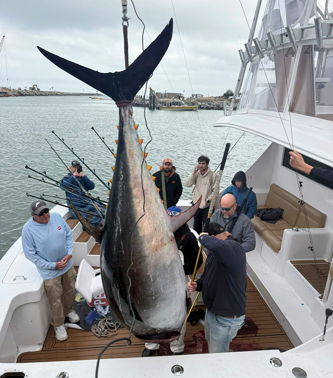 A crew hoists a giant bluefin tuna onto a dock.