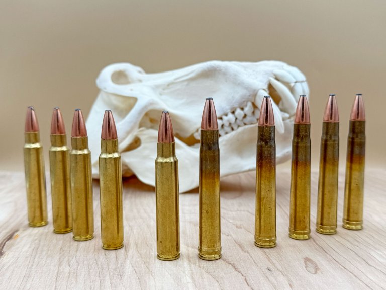 .375 H&H vs. .375 Ruger