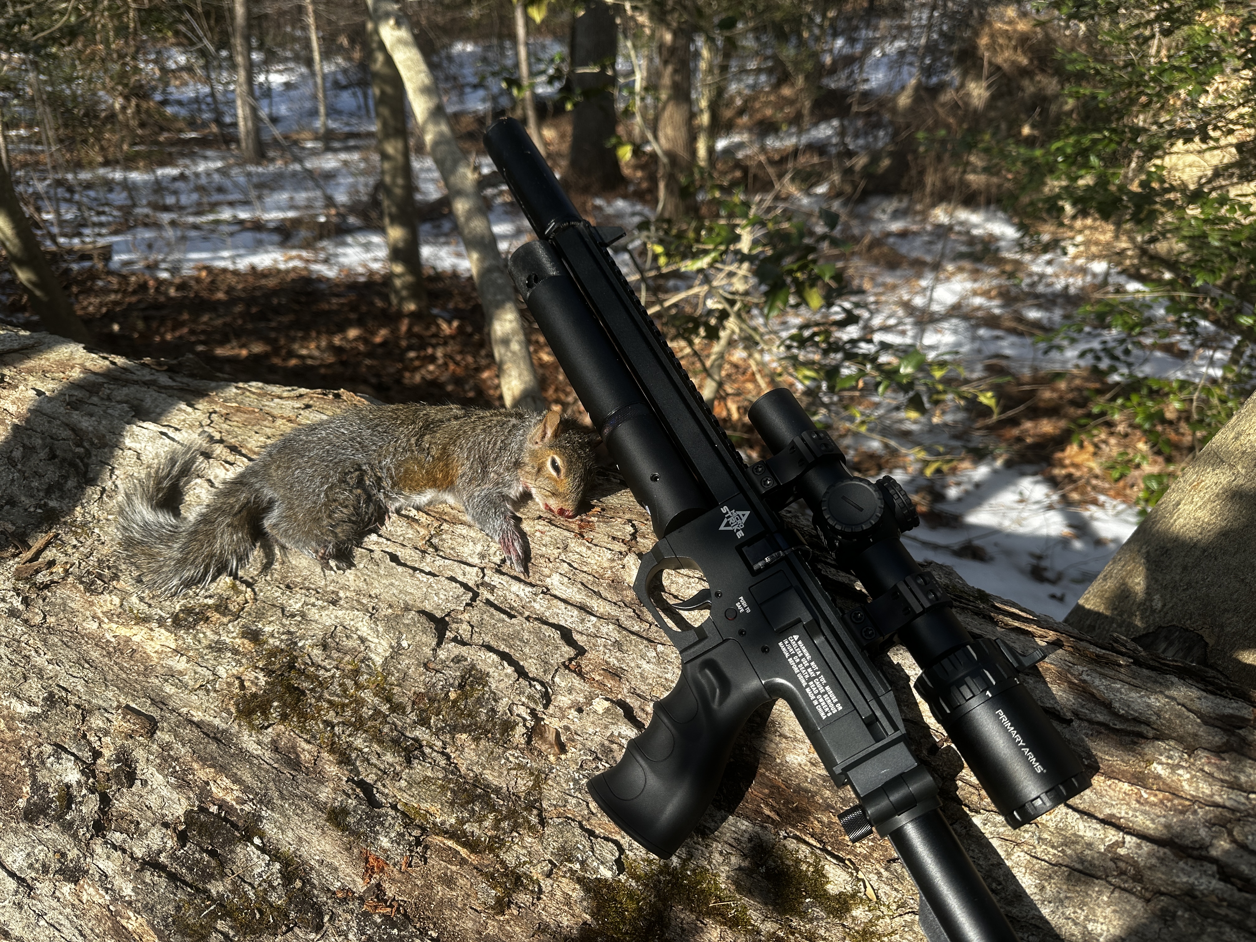 Hunting with the Air Venturi Microstrike PCP air rifle. 