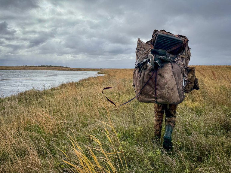 public land duck hunting