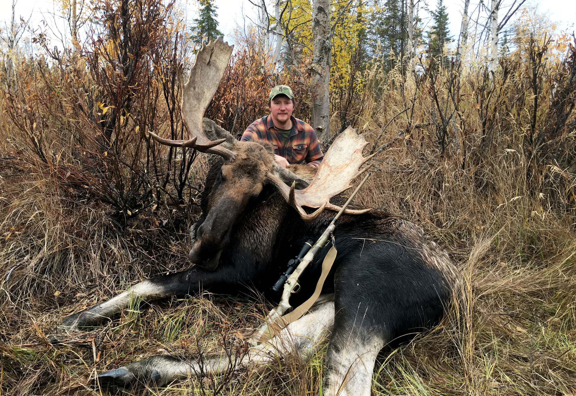 Moose with .300 Win. Mag.