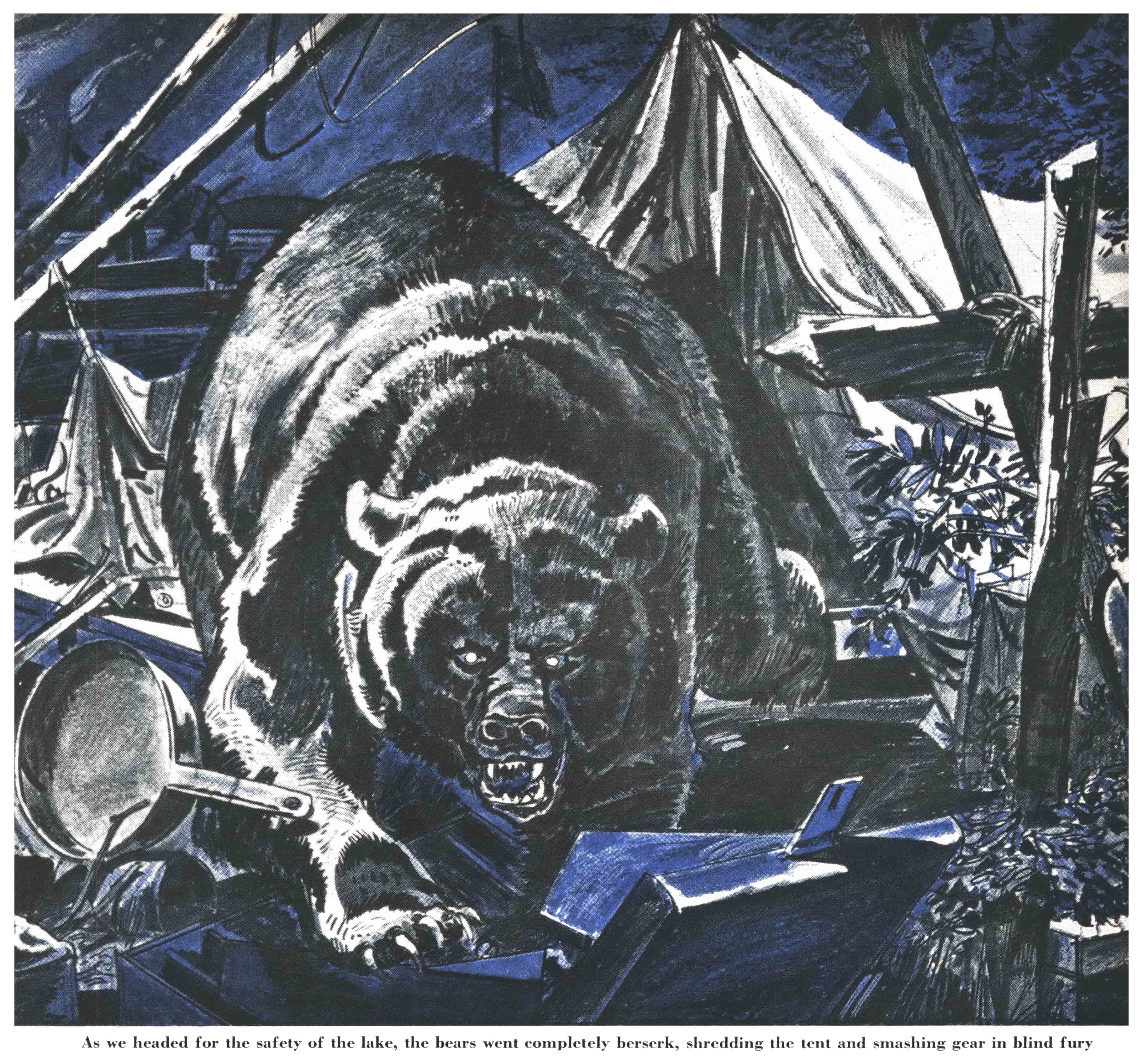 An illustration of a bear trashing a camp.