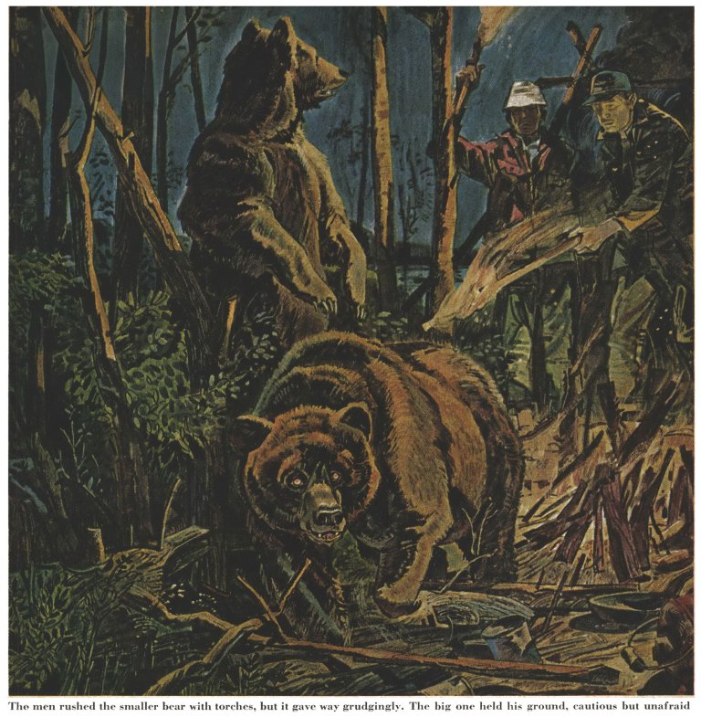 A color illustration of campers fighting off bears.