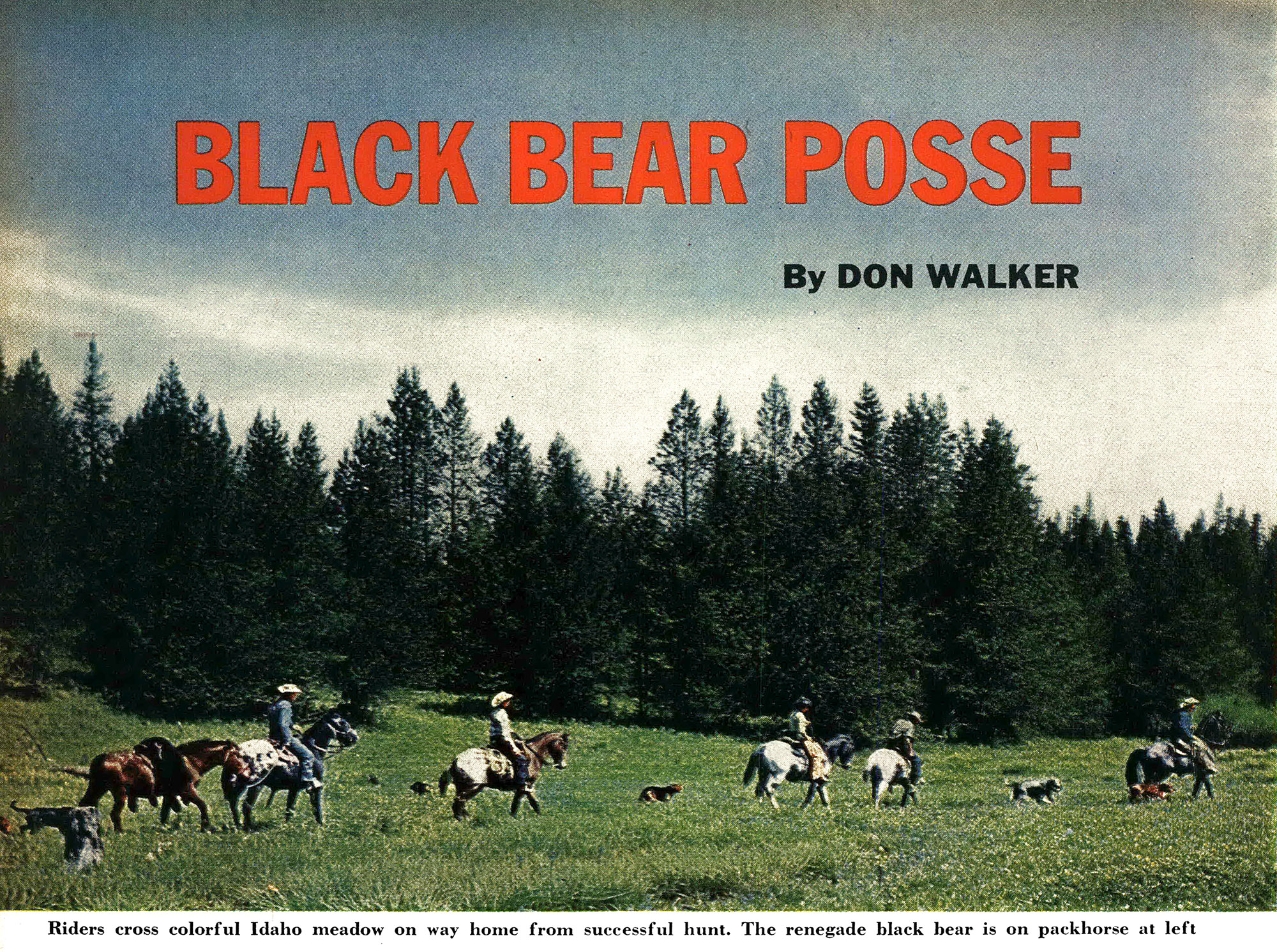 An old photo of hunters on horseback riding alongside bear dogs.