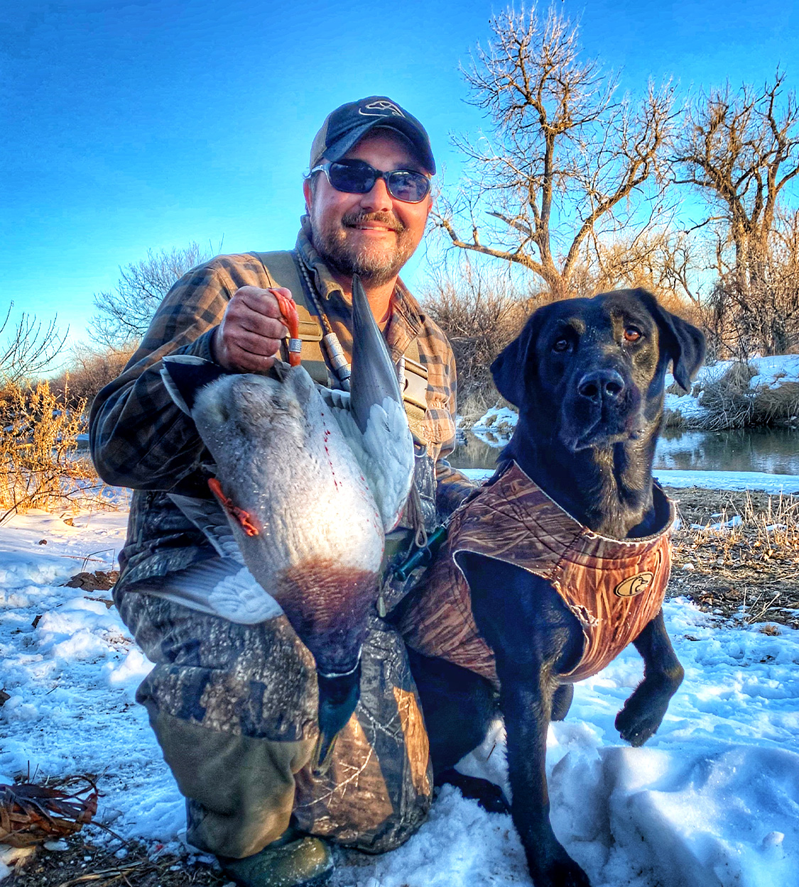 Un cazador de patos y su perro con un ánade real anillado.