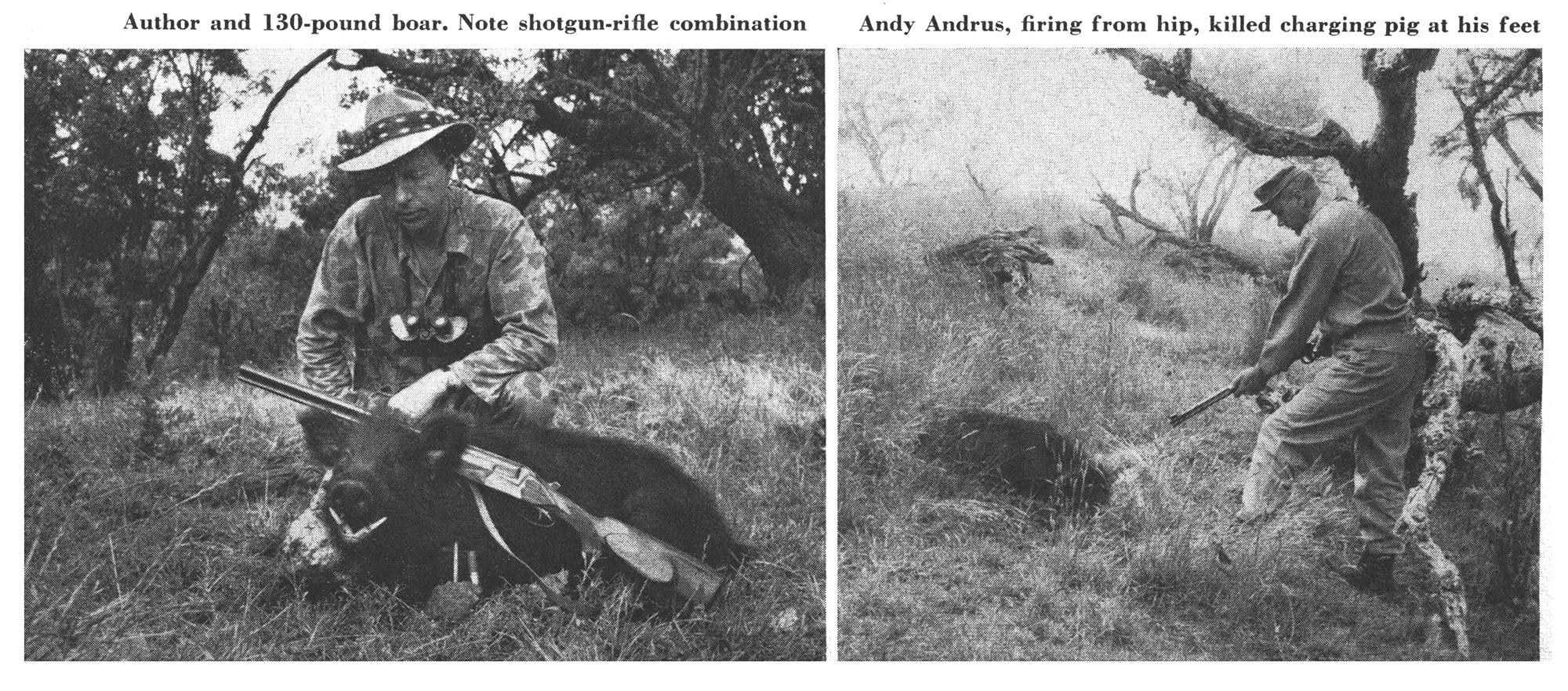 Black and white photos