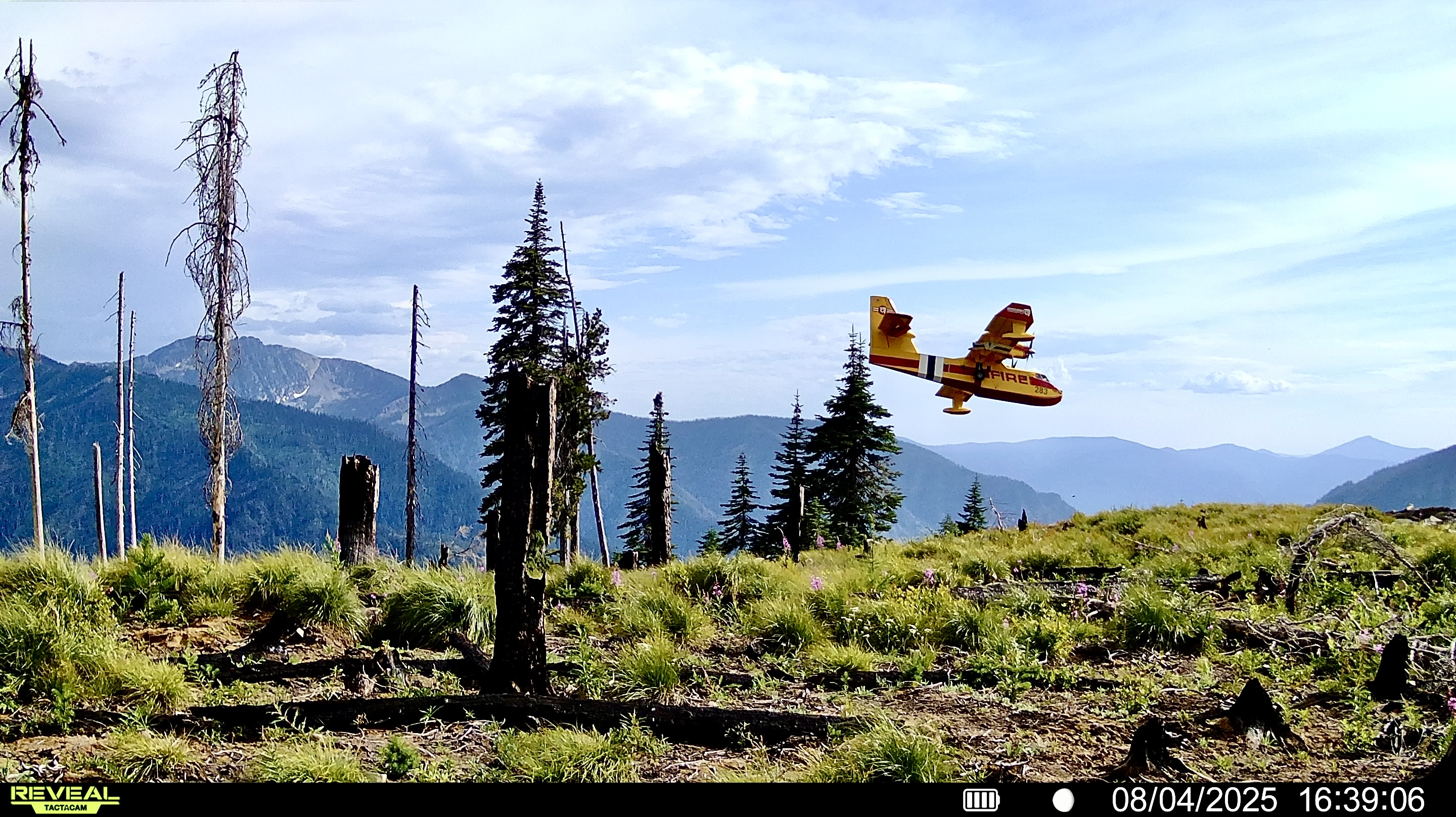 A trail cam photo of a firefighting plane