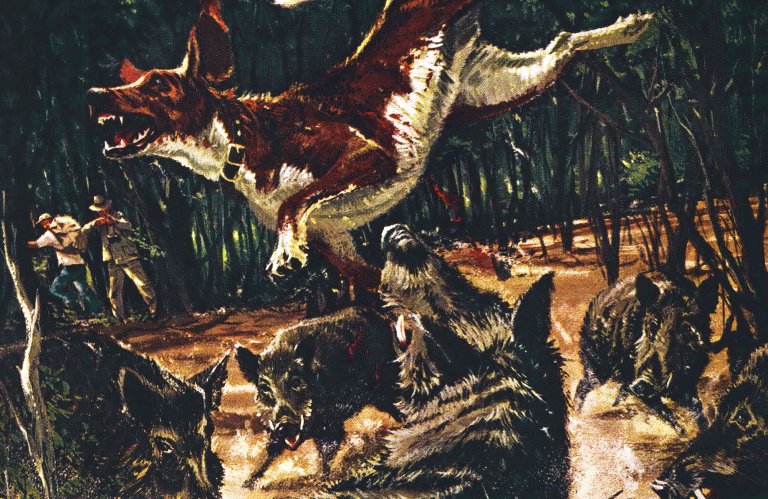 An illustration of hogs in Hawaii fighting a hog dog.