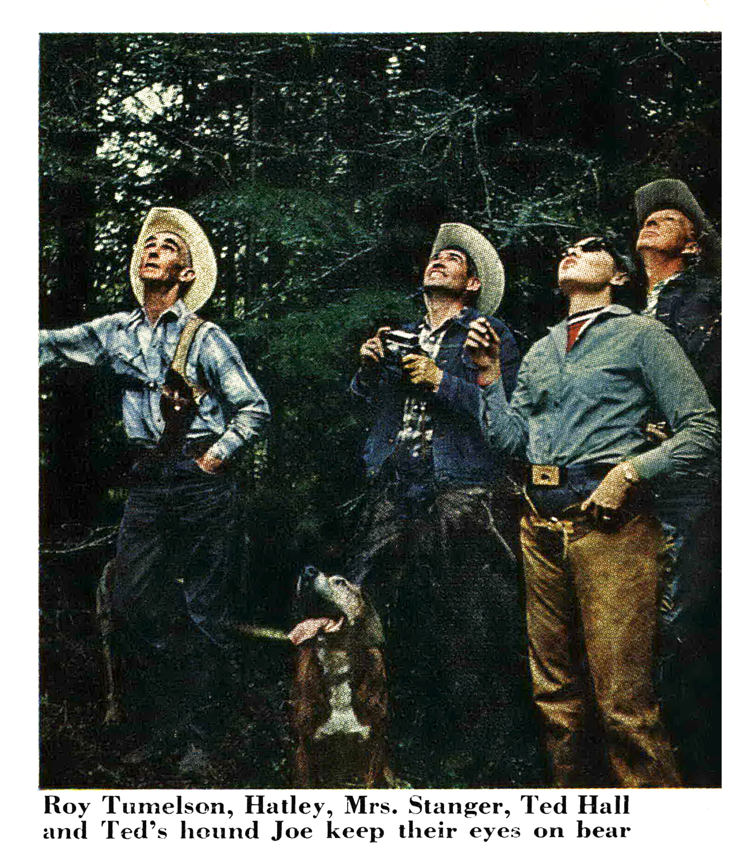 A trio of hunters look up at a bear in a tree.