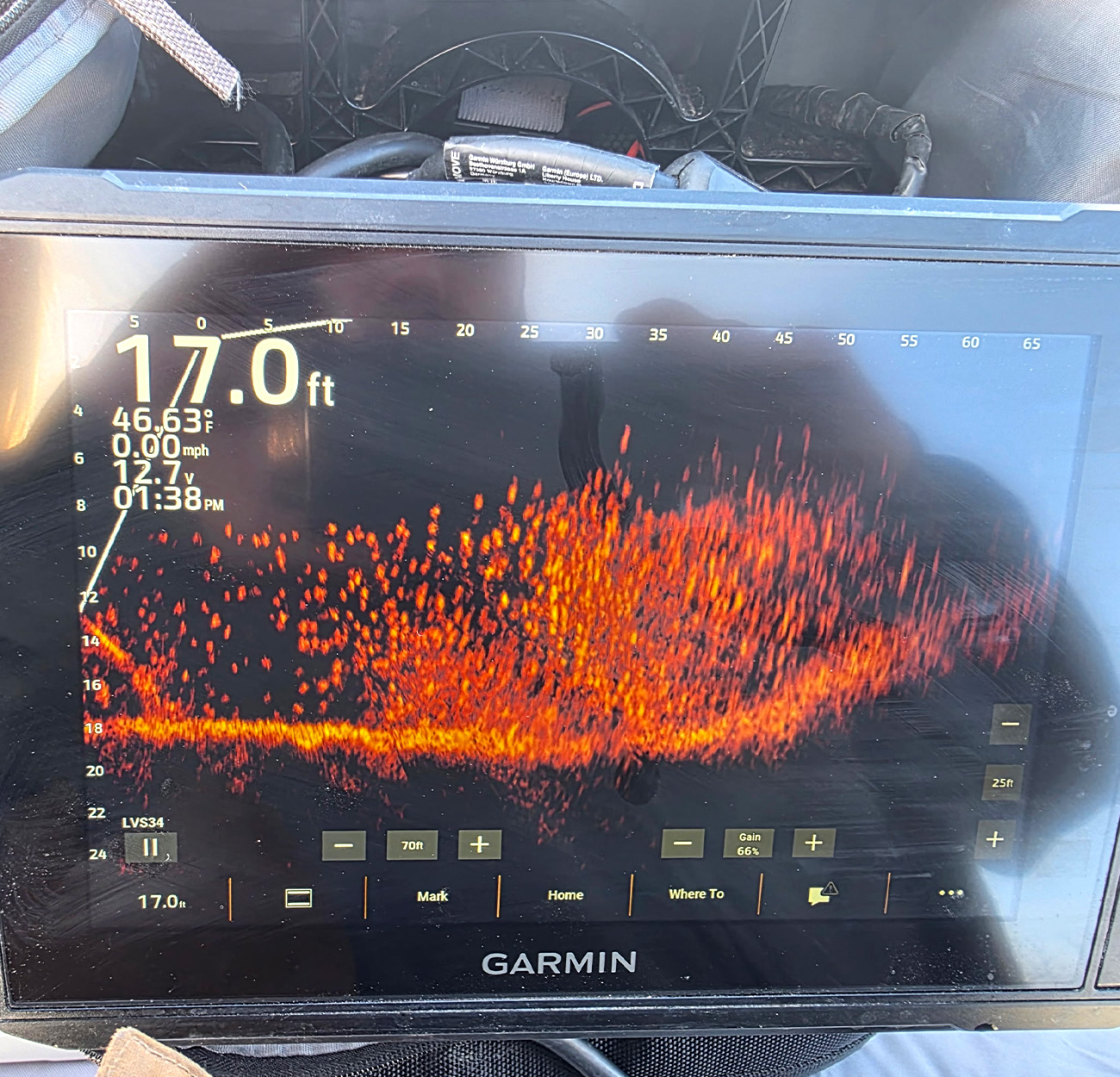 A Sonar screen shows a brush pile full of fish.