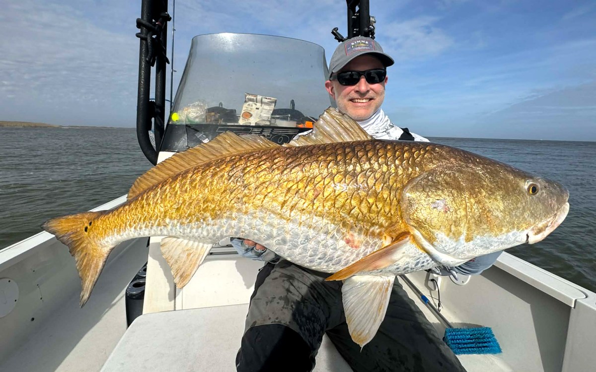 This Massive Redfish Could Have Been a New State Record. There Was No Way to Officially Weigh It This Massive Redfish Could Have Been a New State Record. There Was No Way to Officially Weigh It