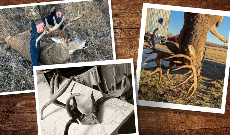 Photos of a big Manitoba buck