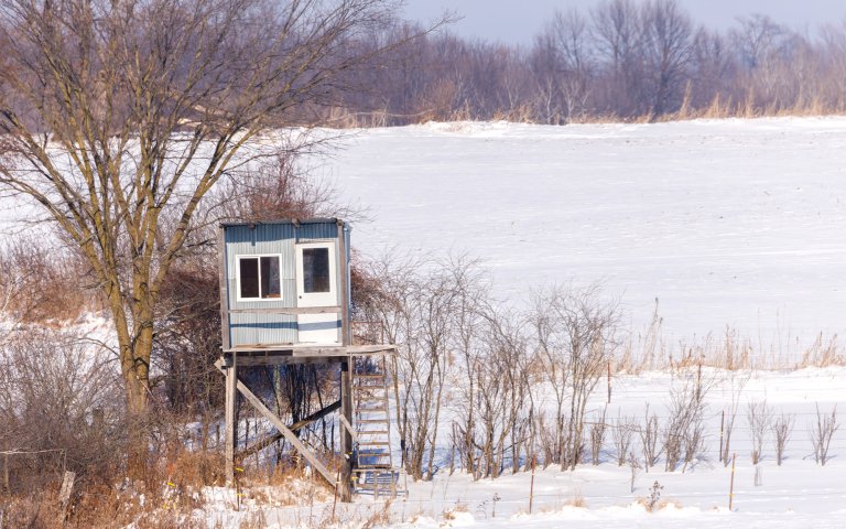 A deer blind set up along a field edge.