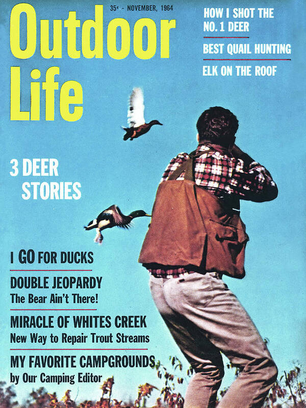 The November 1964 cover of Outdoor Life magazine