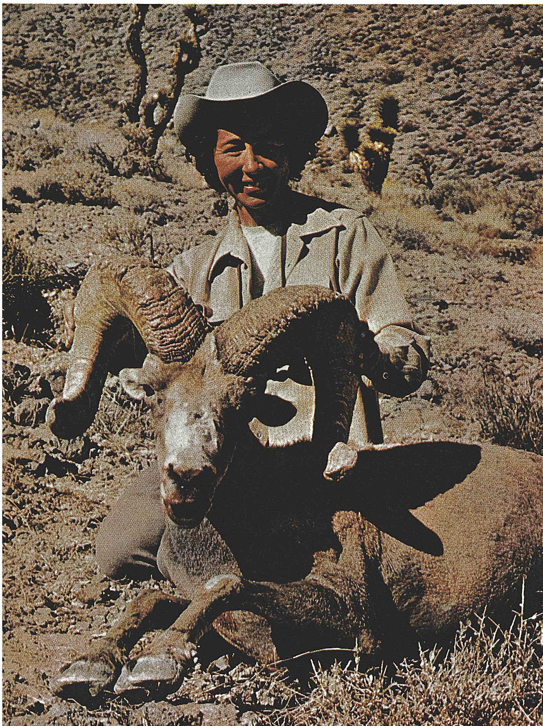 Kay Broadbent with a nice ram.