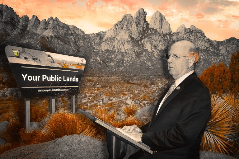 A composite image of the BLM nominee Stevan Pearce