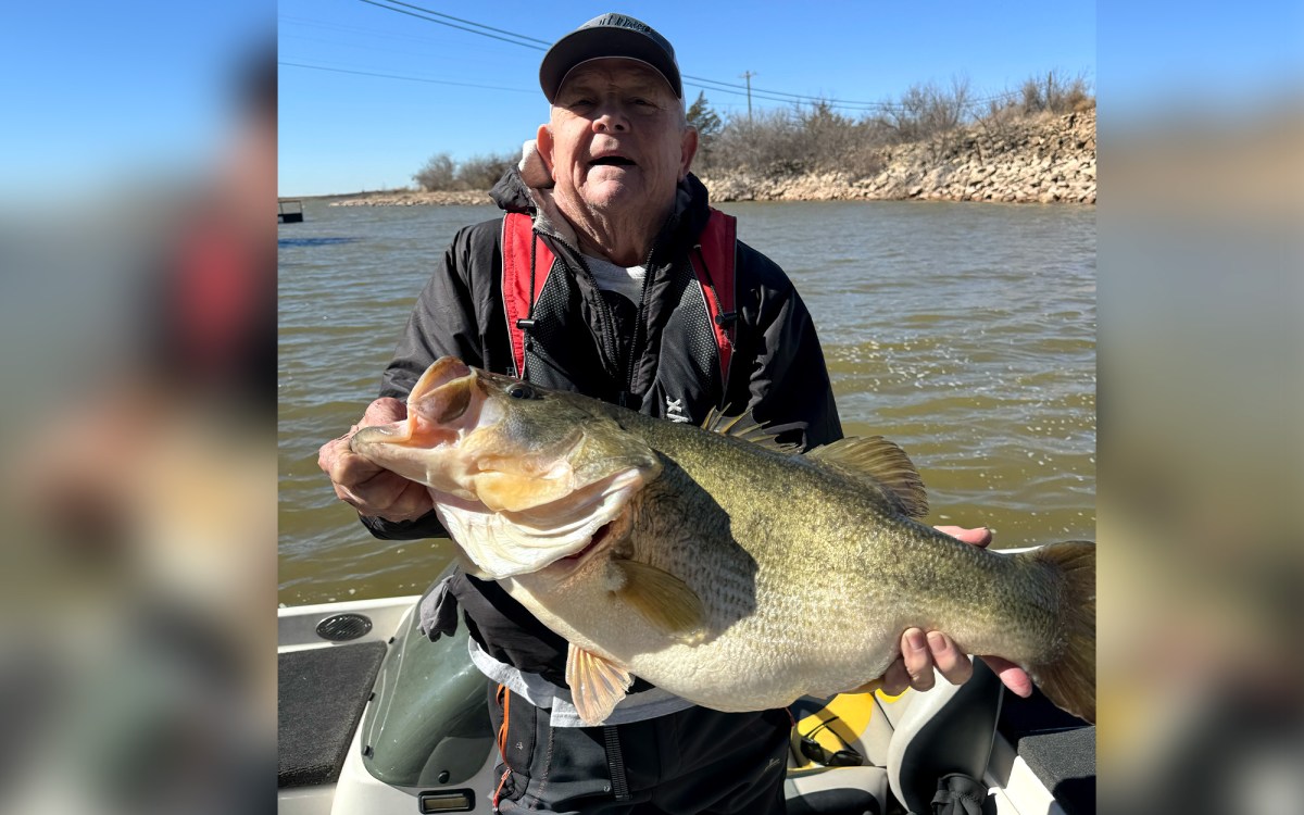 ‘So Big She Couldn’t Even Jump.’ 76-Year-Old Angler Lands Potential Lake-Record Bass While Practice Fishing for a Tournament