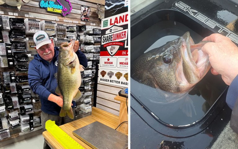 A Texas angler weighs a huge bass in a tackle shop.