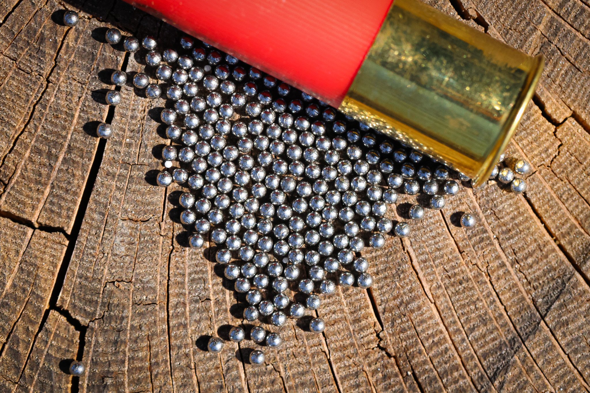 TSS pellets by a shotshell load.