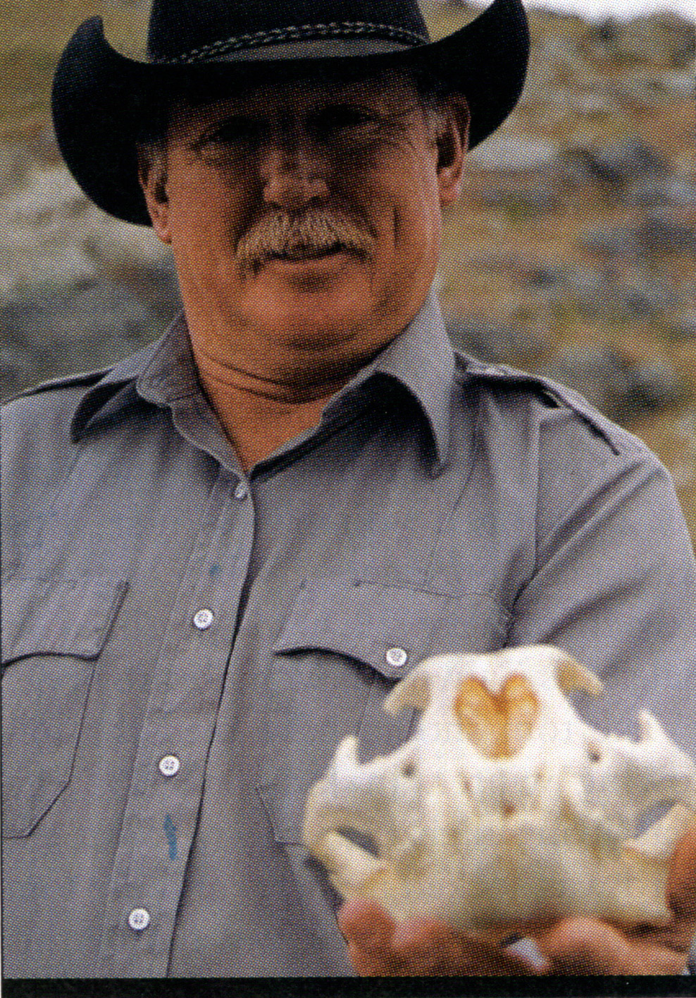 Bodenchuk holds a mountain lion skull
