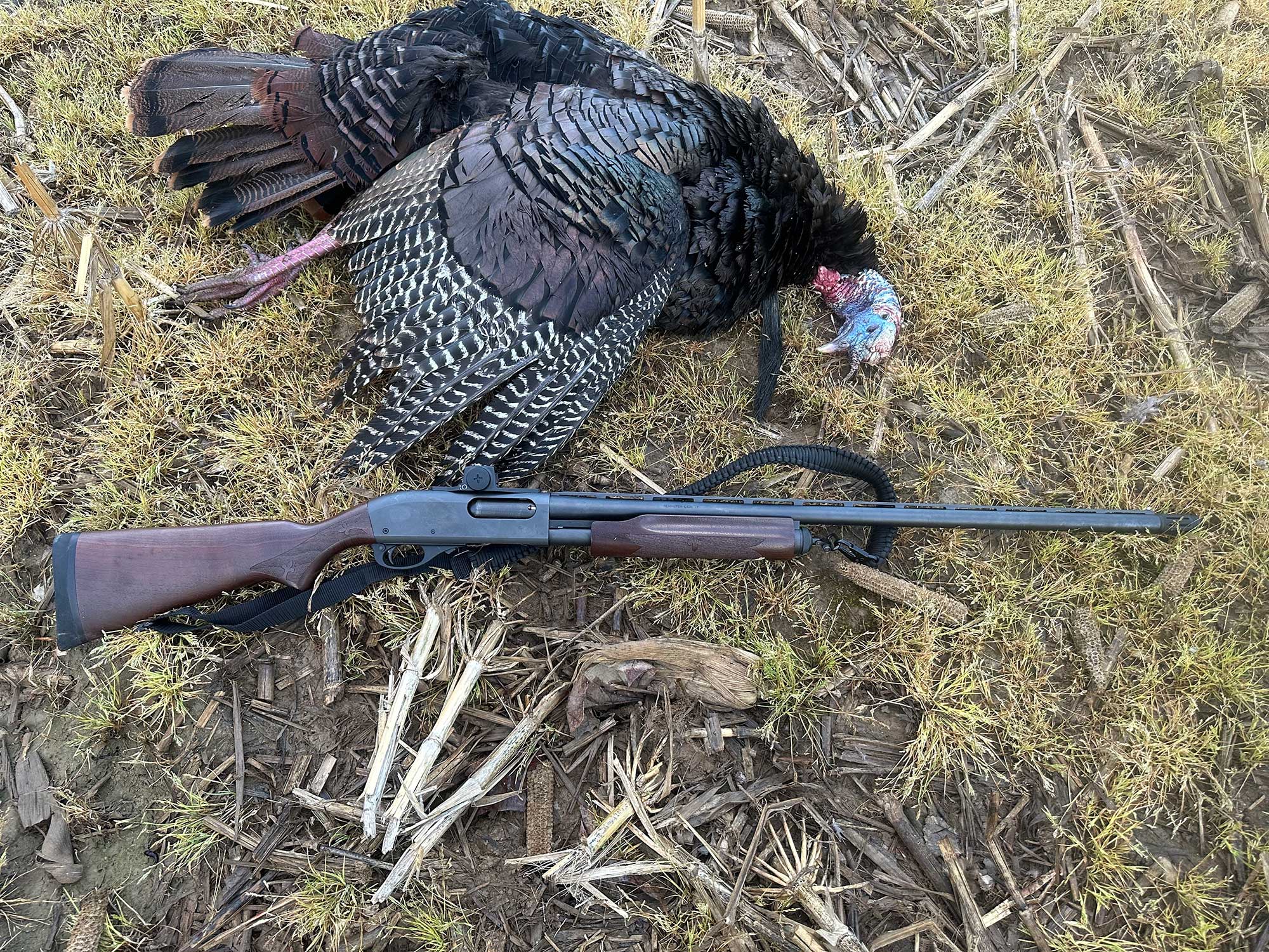 870 turkey hunting