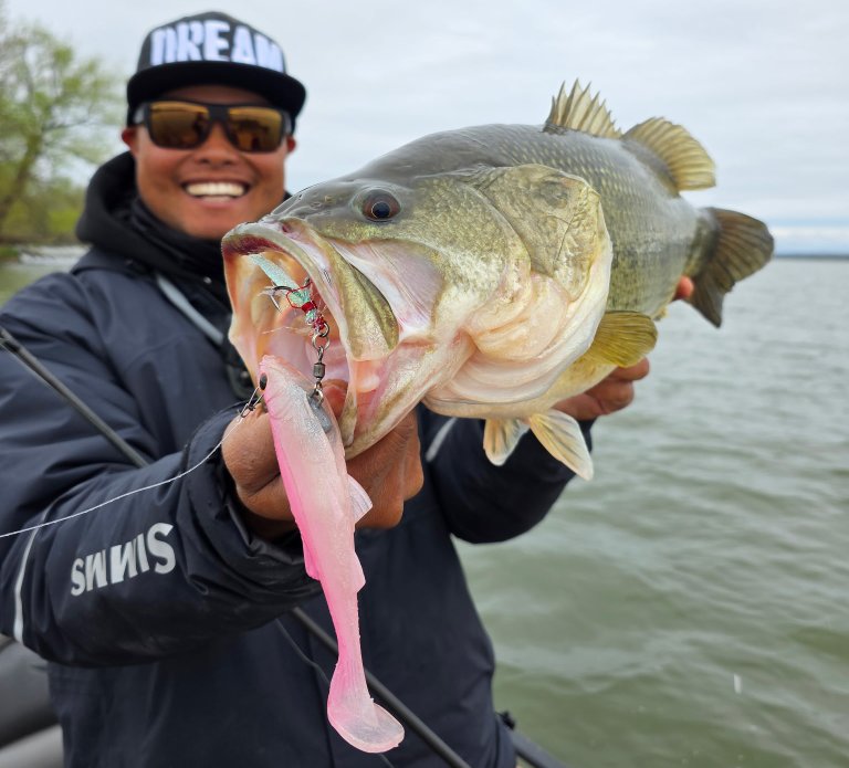 A big bass caught with a big pink bait.