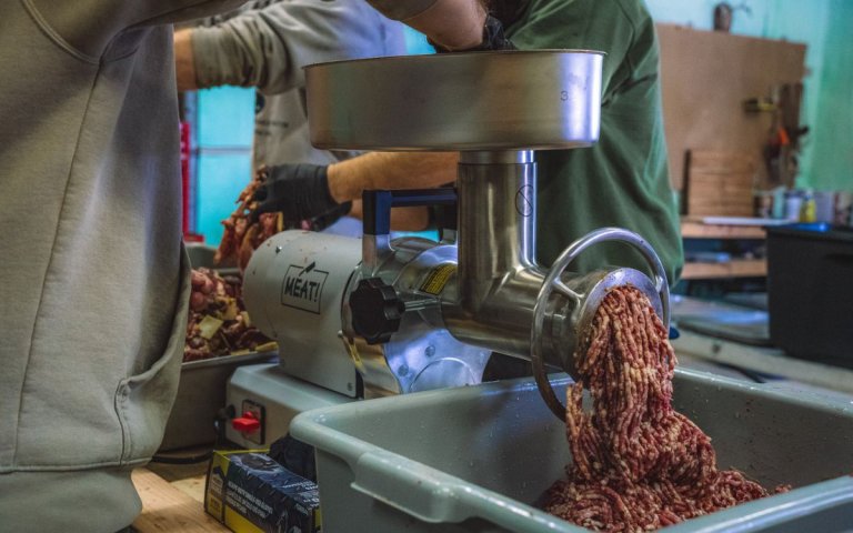 A meat grinder pushes meat into a tub.