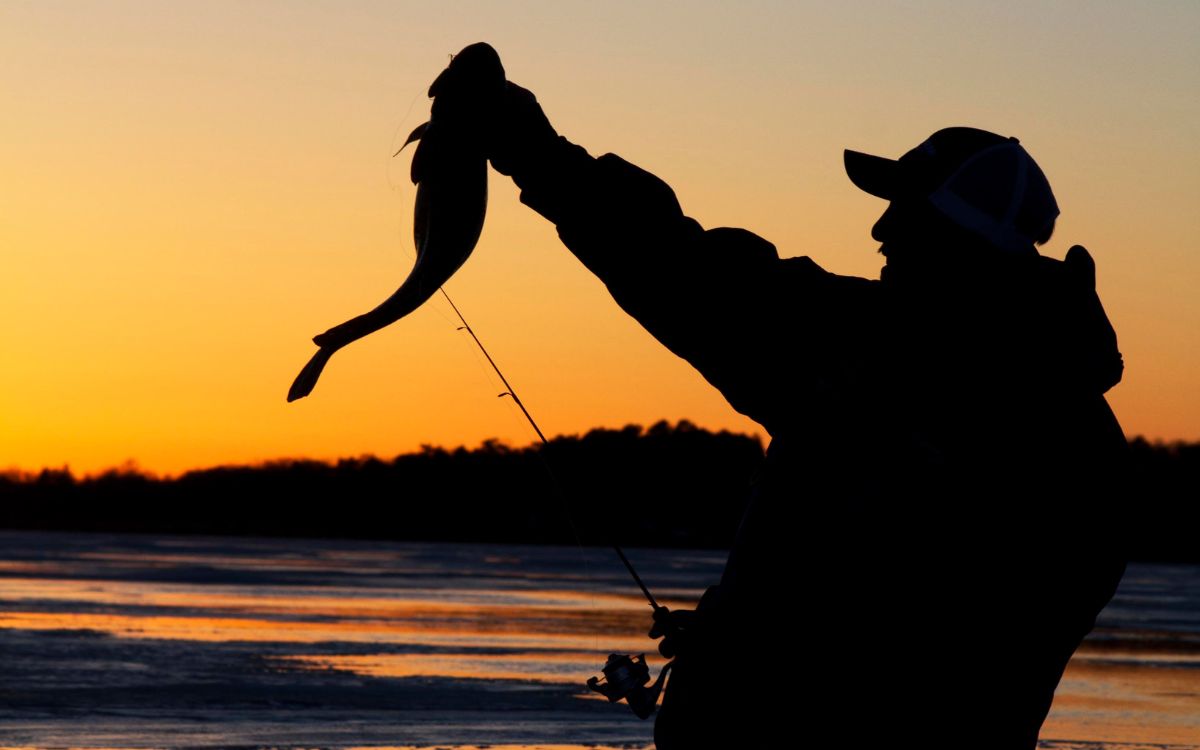 An angler holds a burbot up after catching it as the sun sets in the background