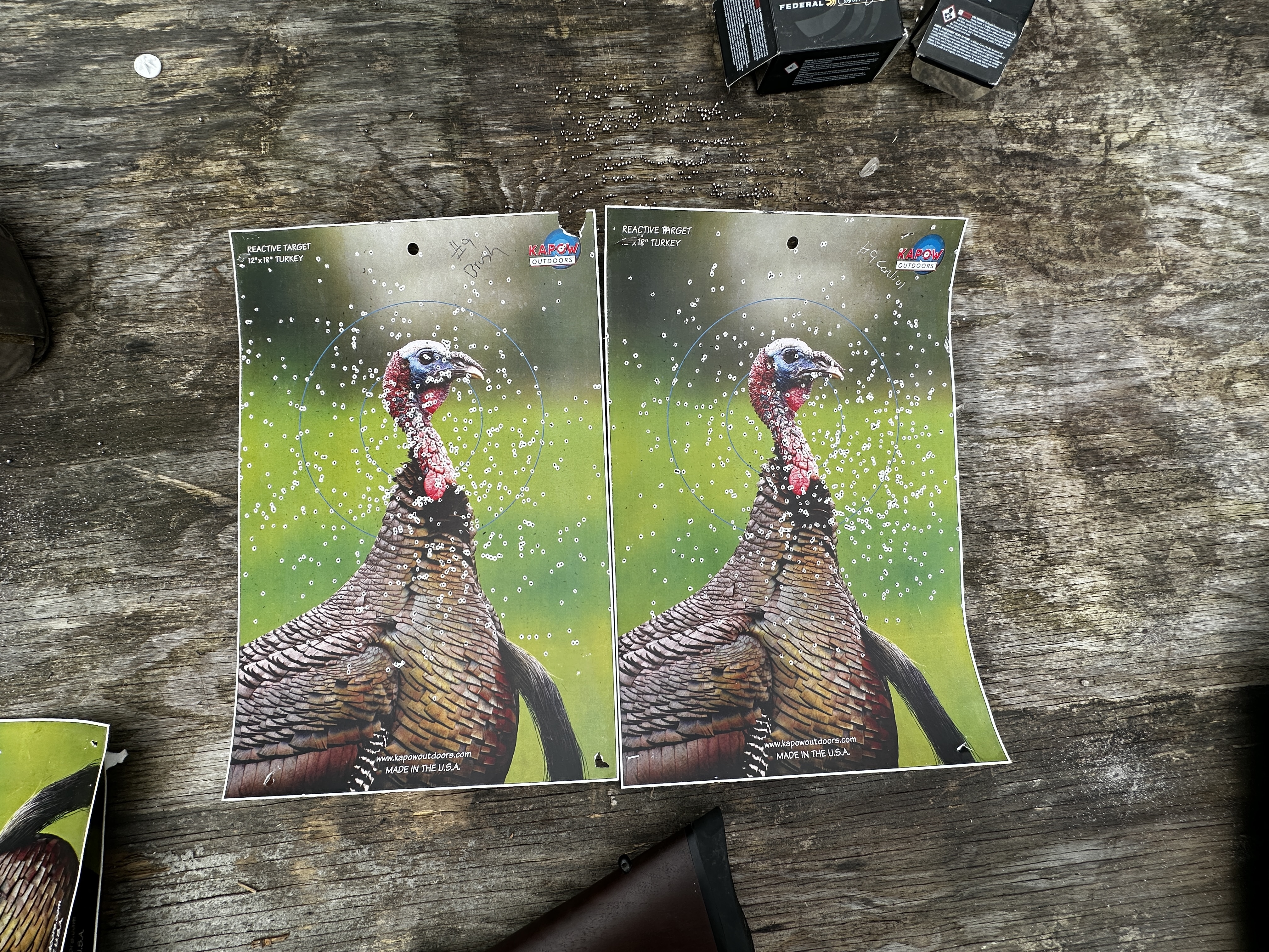 Pattern testing brush. 