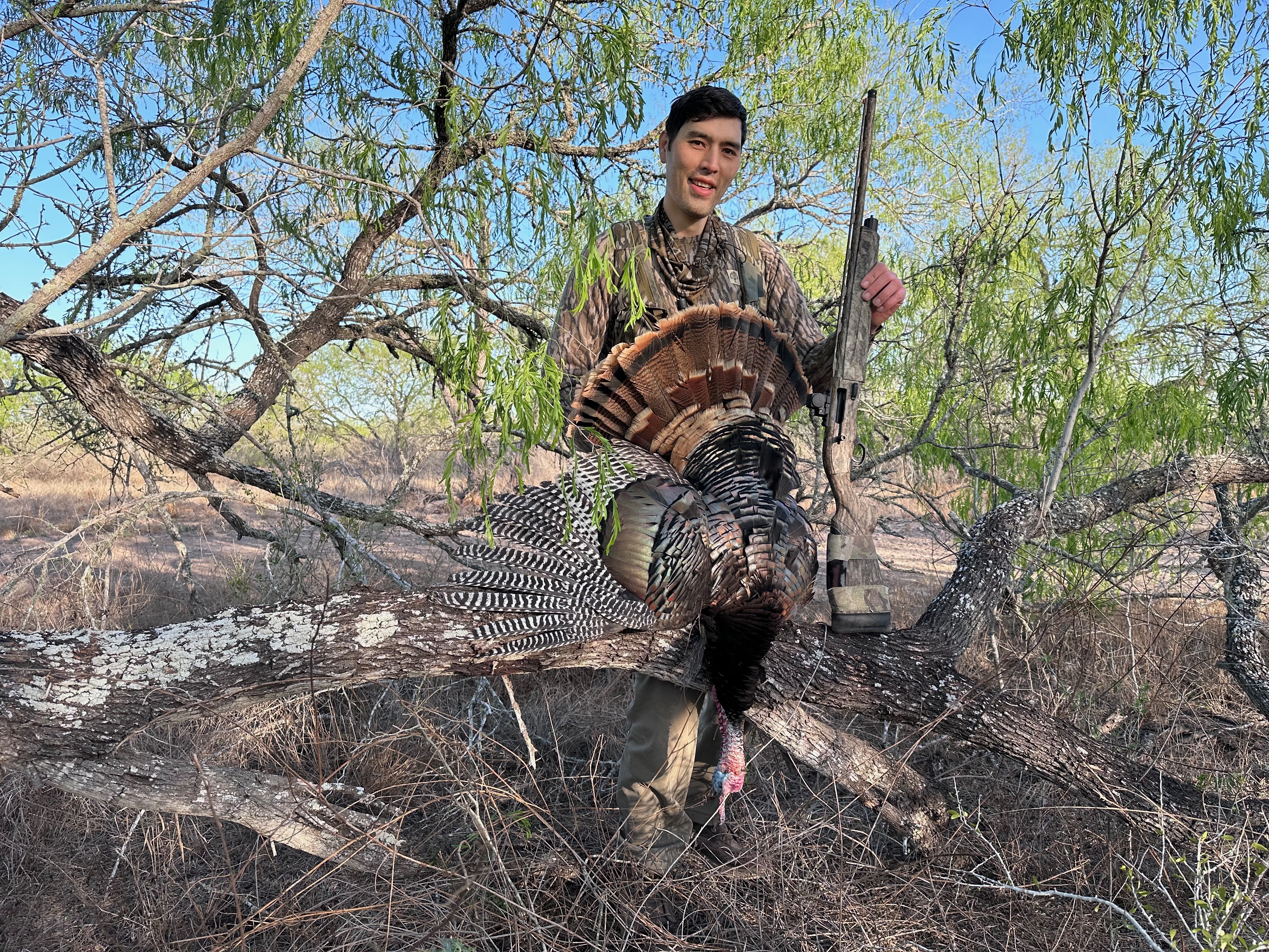 Scott Einsmann with a south Texas turkey stretched on a low branch in brush.