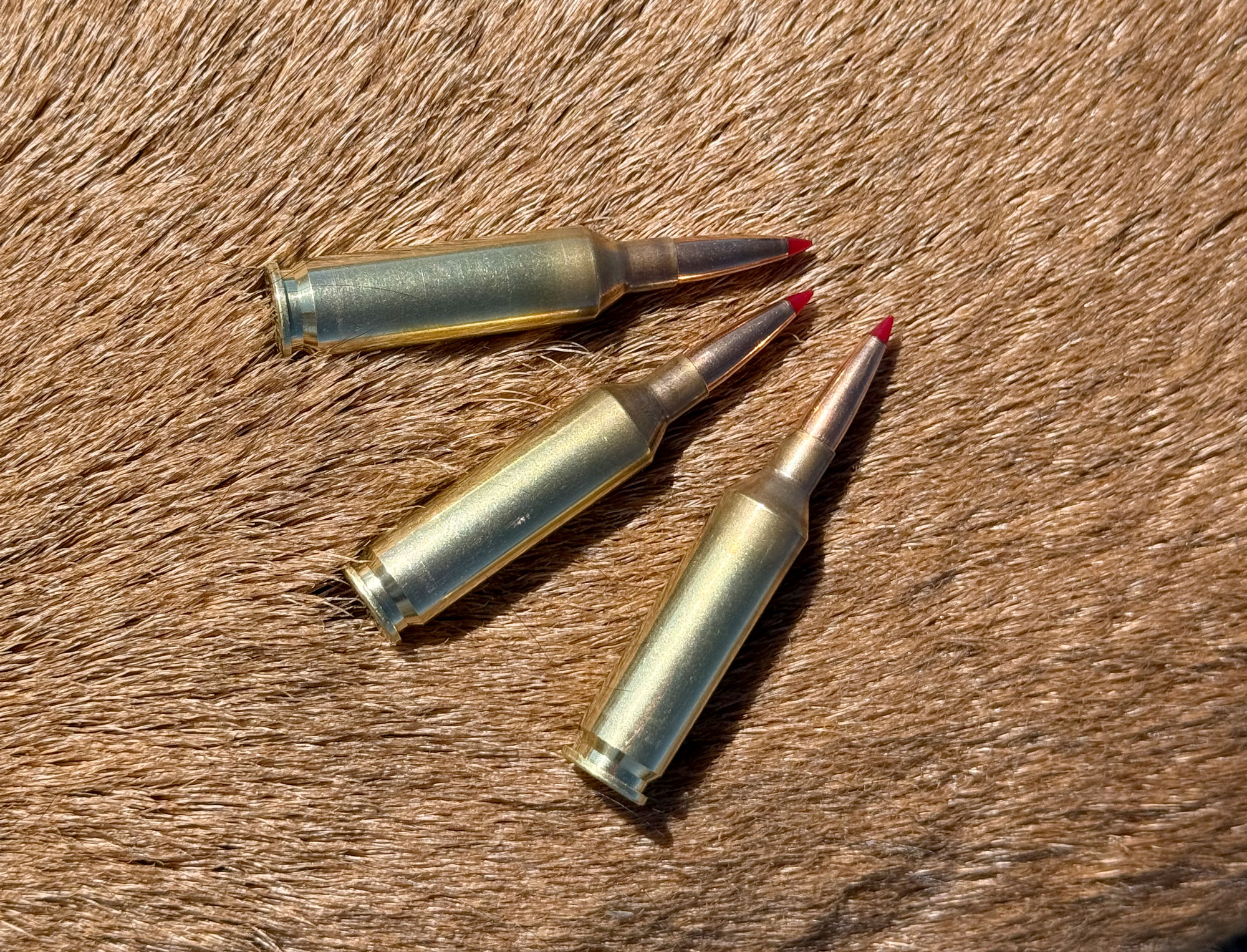 22 Creedmoor 65 grain CX antelope