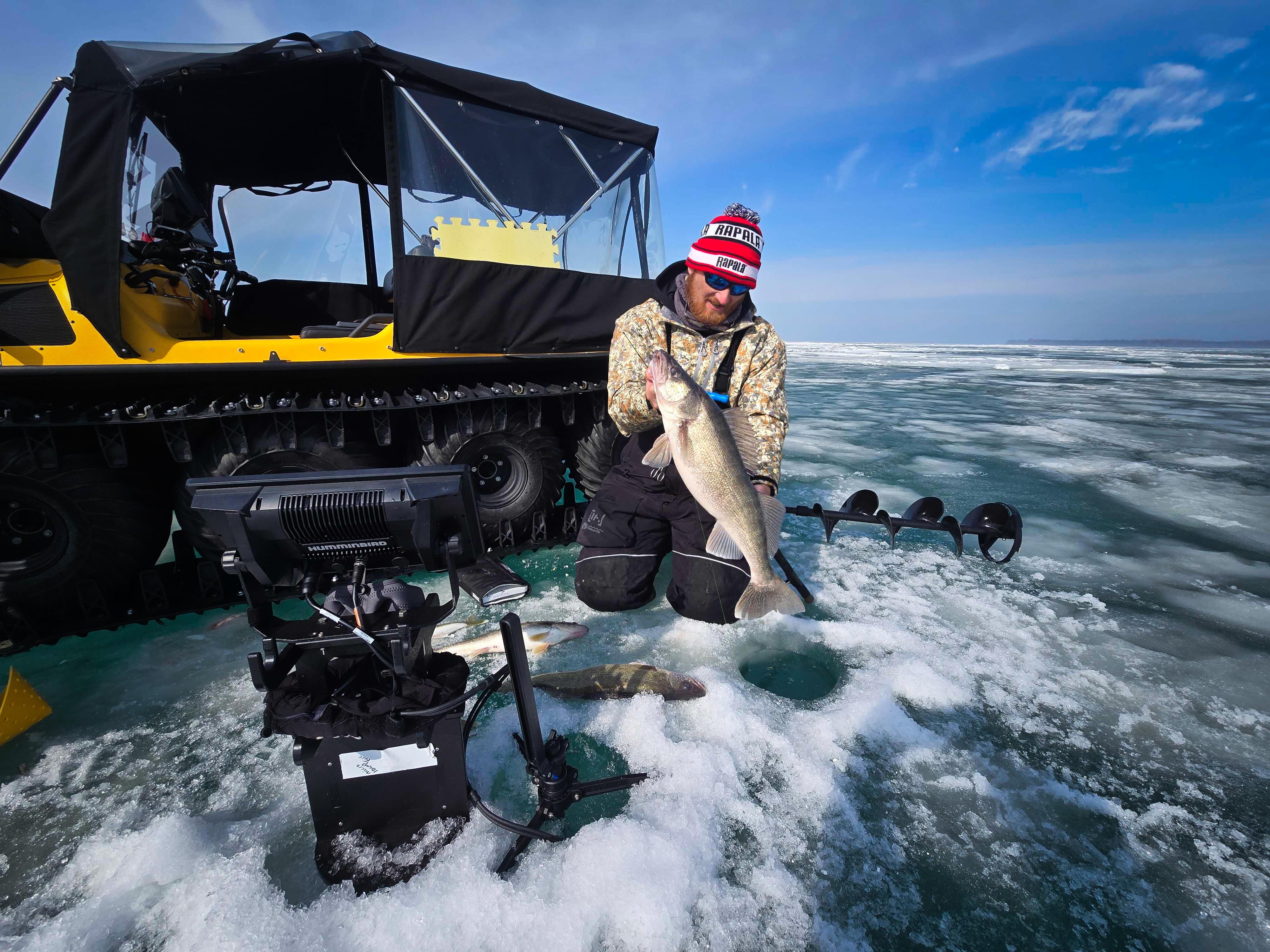 An ice fisherman pulls an early-spring walleye through the ice.