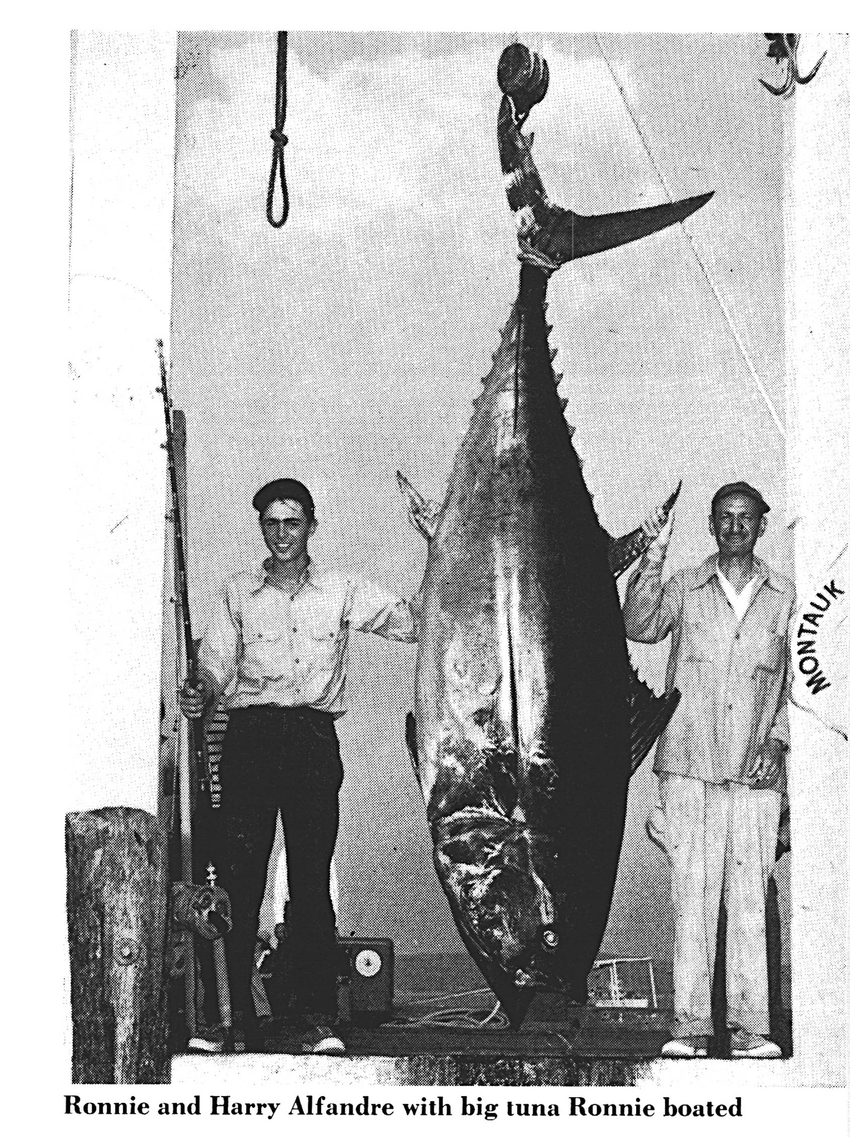 A black and white photo of a giant tuna