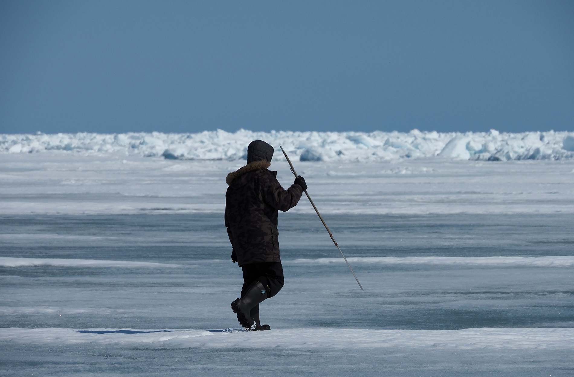 A seal hunter holds a spear on the ice
