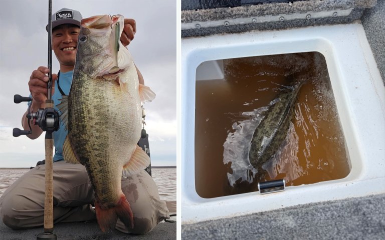 A bass fisherman holds up a 13-pound largemouth.