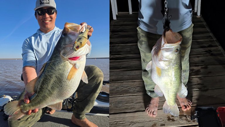 A bass guide holds up a 13-pound largemouth.
