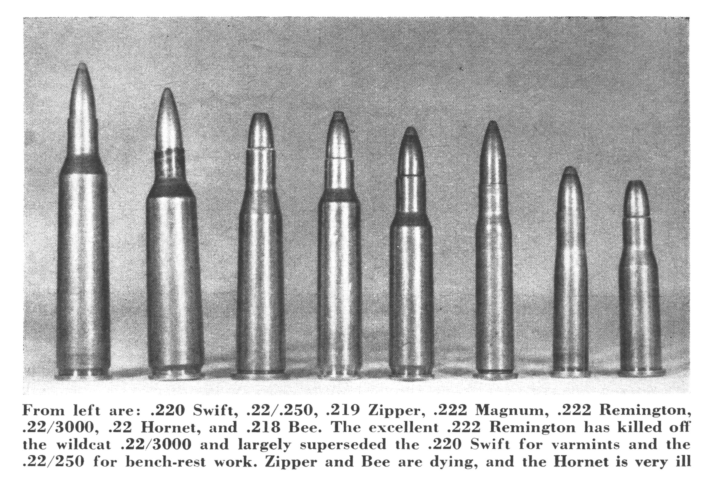 An old black and white photo of rifle cartridges as described by jack o'connor.