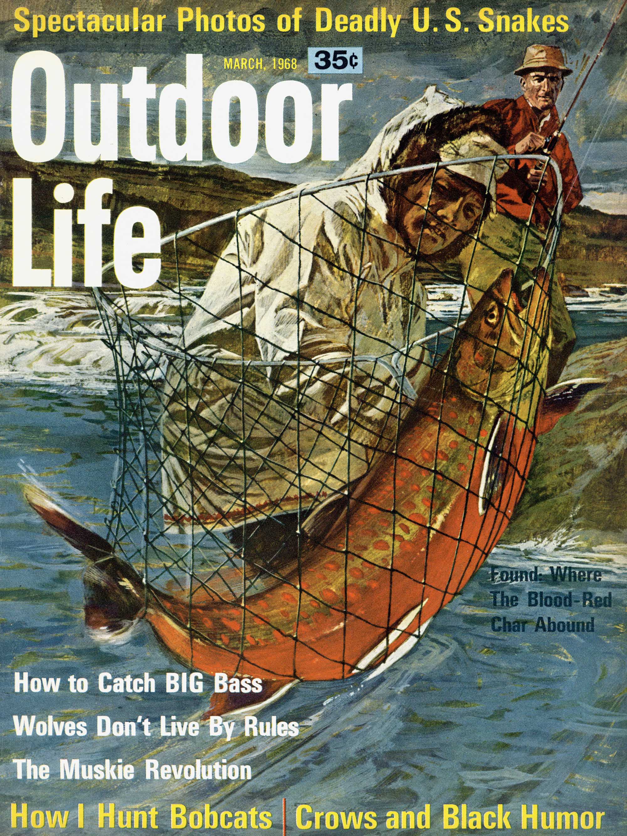 The March 1968 cove of outdoor life magazine.