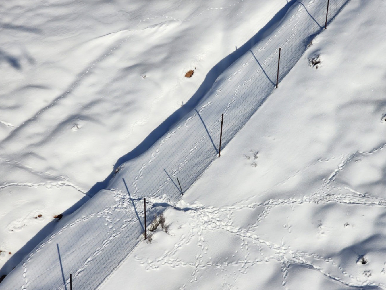 An aerial shot of tracks under high fence