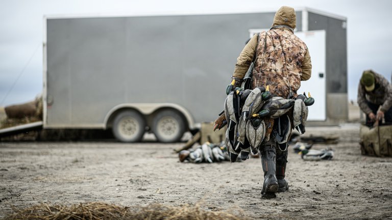 A guide hauls decoys back to a trialer.