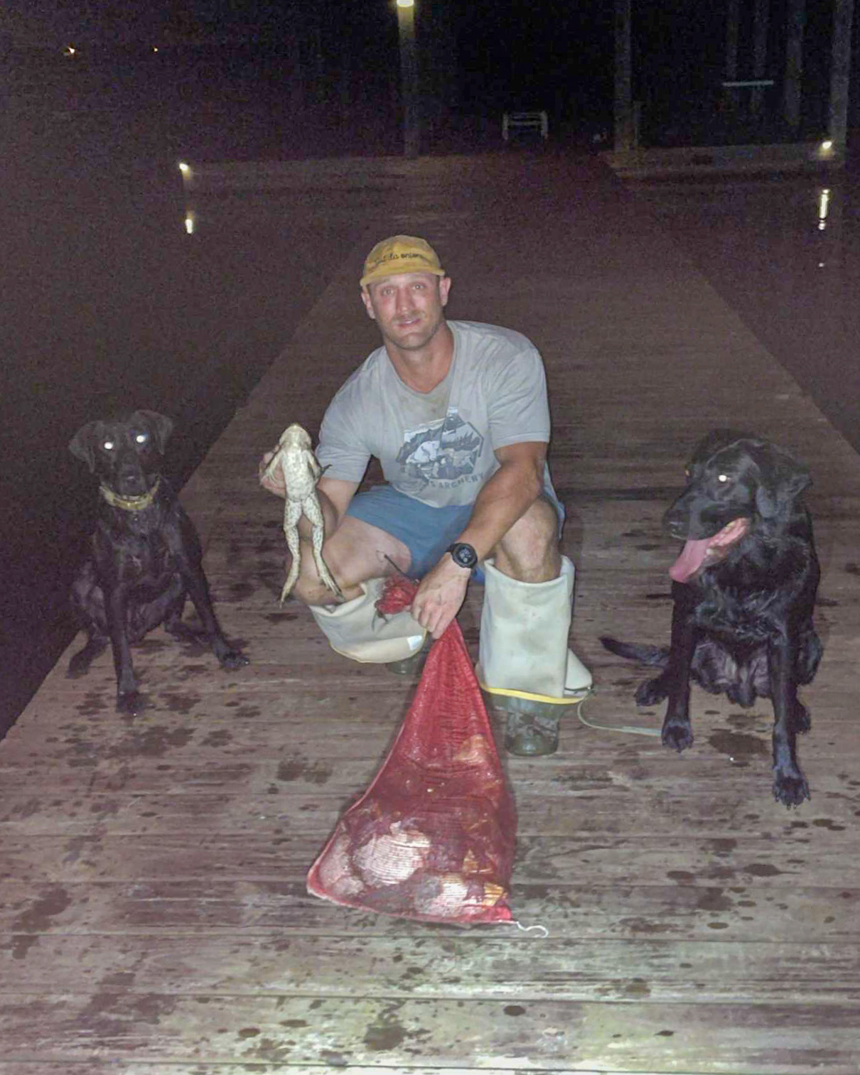 Two bullfrog dogs in Louisiana.