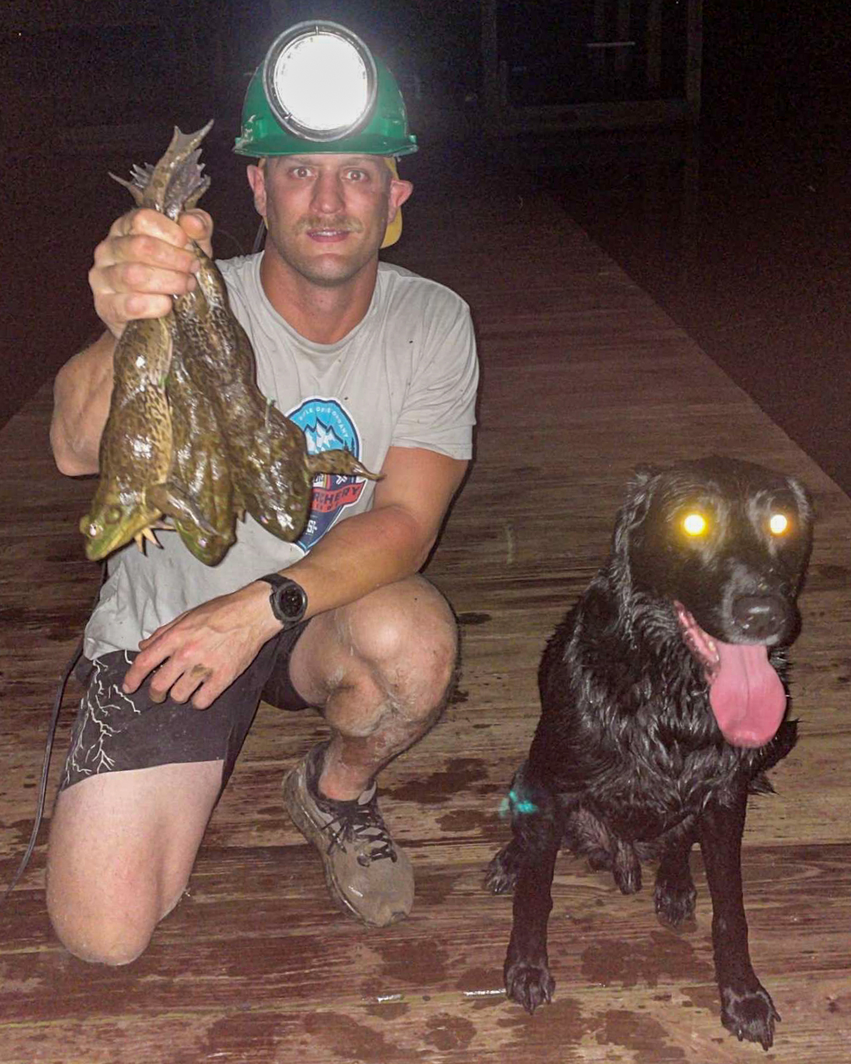 A man with a lighted helmet holds up bullfrogs beside Juice the frog dog.